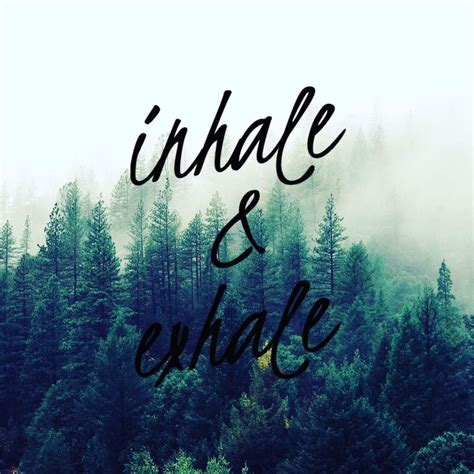 37 inhale exhale famous quotes: Inhale & exhale - the foundation of inner peace.