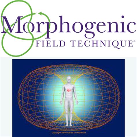 The Morphogenic Field Technique Moselle Natural Health