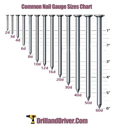 What Size Nails Do You Need For Framing Including Chart Drill And