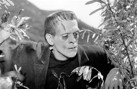 Frankenstein 1931 Turner Classic Movies