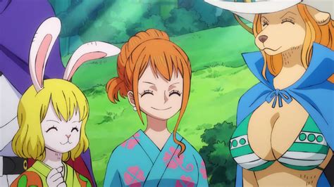 Carrot Nami And Wanda One Piece Ep 959 By Berg Anime On Deviantart In 2022 One Piece Ep