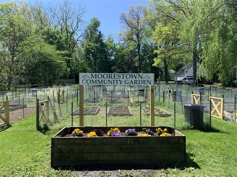 Community Garden Looks Forward To Reopening The Sun Newspapers