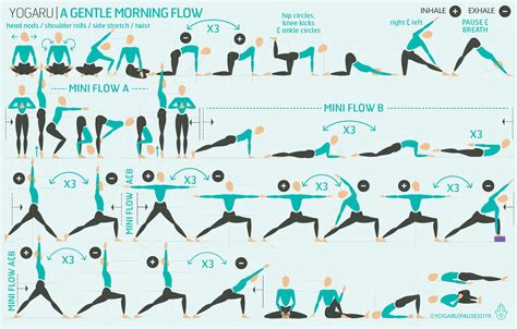 Yoga Flows For Beginners Full Body Flow 20 Min Yoga Practice Yoga