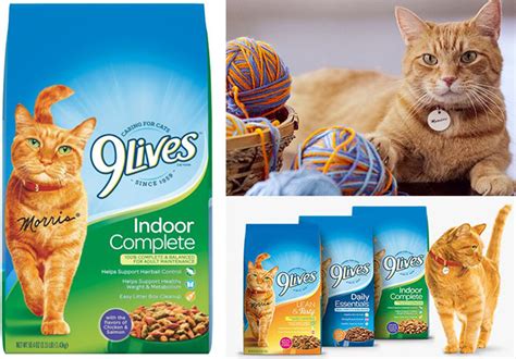 Save $2.00 off any one 16 lb. FREE 9Lives Cat Food at Dollar General