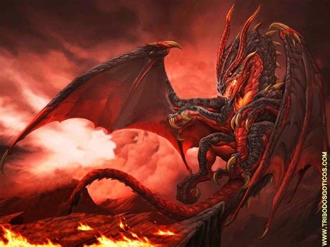 Drag O De Fogo Red Dragon Fantasy Dragon Dragon Art