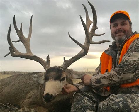 Colorado Trophy Mule Deer In December