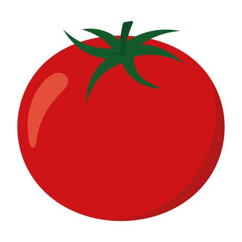 Top 167 Tomato Animated Images