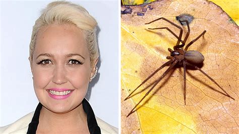 4 Things To Know About Brown Recluse Spider Bites After Meghan Linsey