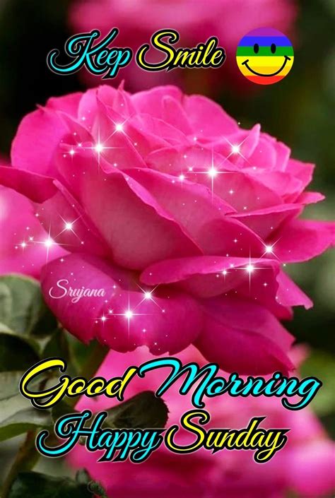 249 Latest Good Morning Happy Sunday Hd Images With Wishes Good Morning
