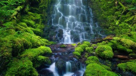 Rainforest Waterfall Wallpapers - Wallpaper Cave