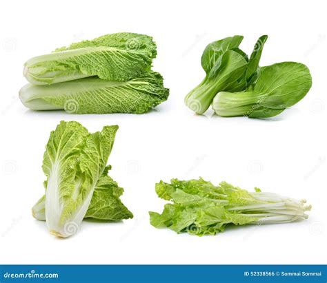 Chinese Cabbage Lettuce Bok Choy On Awhite Background Stock Photo
