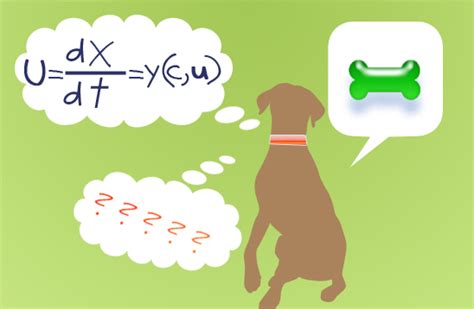 Test Di Intelligenza Per Cani Dogdeliver