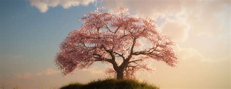 Cherry Blossom 3d Scenerylandscapescoolvibe Digital Art