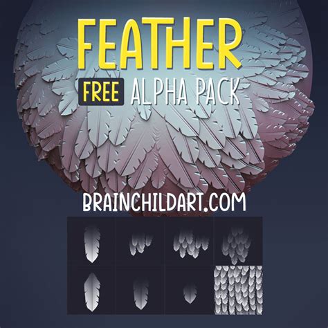 Free Stylised Feather Alpha Pack Alpha Textures For Zbrush Blender