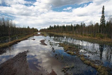 Russian Road Stock Image Image Of Water Dirt Swamp 12476293