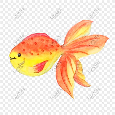 Tapi jangan bikin yang terlalu detail ya, soalnya yang detail itu tentu lebih sulit. Gambar Ikan Yang Mudah Digambar - Gambar Ikan HD