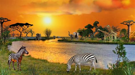 African Animals Wallpaper Hd Posted By Ethan Sellers