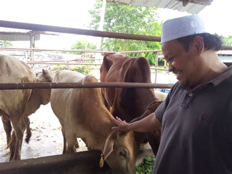 Eksport lembu dan lembu limosin. SURAU WAHBAH AL-ZUHAILY PRESINT 18 PUTRAJAYA: Lembu Dapat ...