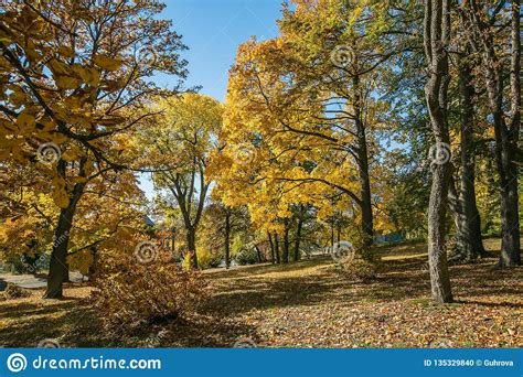 View Of Scenic Colorful Autumn Landscape Stock Photo Image Of Nature