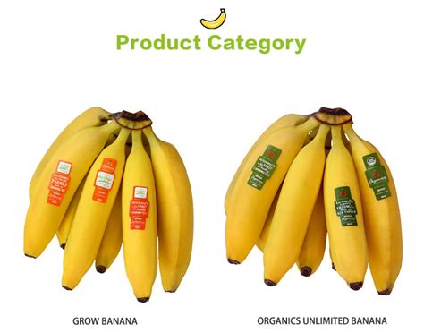 Organic Wholesale Cavendish Banana Fresh Fruit Importers Buy Fresh