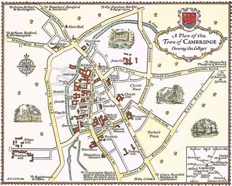 Jonathan Potter Map A Plan Of The Town Of Cambridge Showing The Colleges
