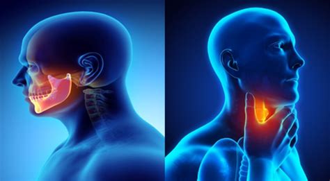 All You Need To Know About Head And Neck Cancer