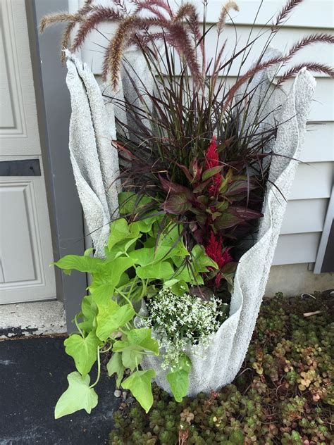 Pin on gardening