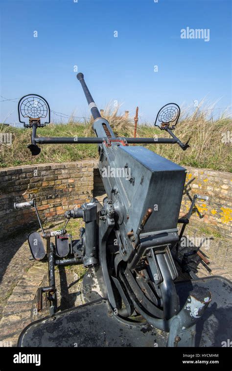 Flak 28 Bofors 40 Mm Gun Anti Aircraft Auto Cannon At Raversyde