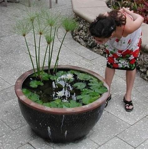 Container Water Gardens For Small Spaces Landscaping Network