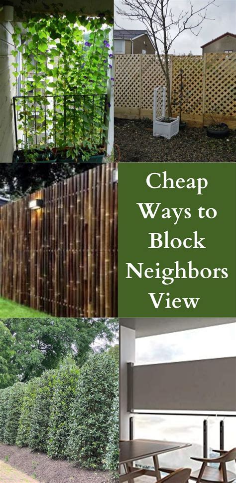 13 Cheap Ways To Block Neighbors View Back Yard Privacy Screen