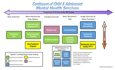 An Overview of the Range of Mental Health Services for Children and