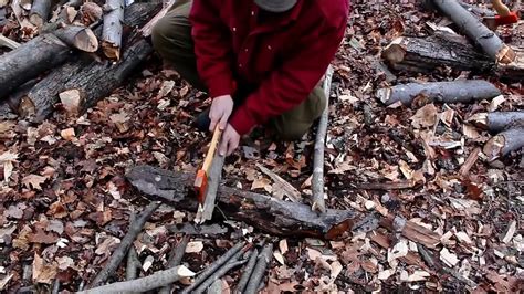Safe Camp Axe Use Felling Bucking And Splitting Small Trees Youtube