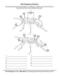 Ask A Biologist - What's In Your Brain? - Worksheet Activity