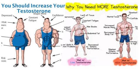 7 Body Hacks To Naturally Increase Testosterone Levels