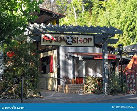 Panda Shop In San Diego Zoo Editorial Stock Photo Image Of Tree Path
