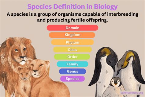 Species Definition And Examples In Biology