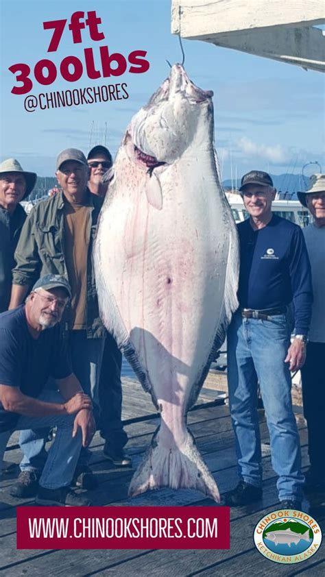 300 pounds equals to 136.08 kg or there are 136.08 kilograms in 300 pounds. 300 pound Alaska halibut! in 2020 (With images) | Alaska ...