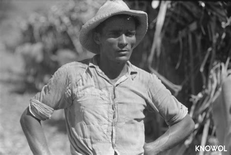 Farm Laborer Working In A Sugar Field Near Guanica Puerto Rico Knowol