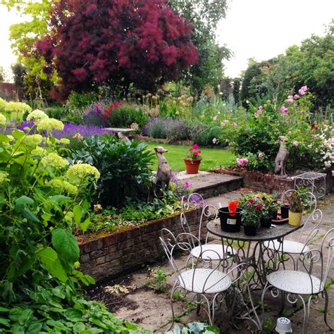 Even out of bloom, plants are handsome and very shapely, making excellent specimen trees. Save time and money in the Middle-Sized Garden... - The ...