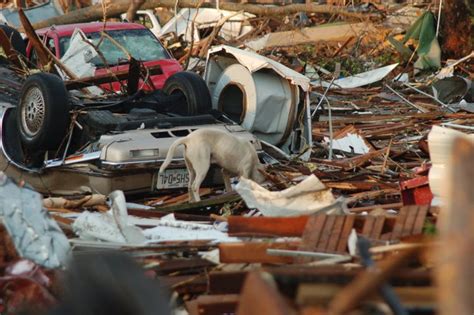 Veterinary Rescuer Bring Hanah Home Dog Missing After Joplin Tornado