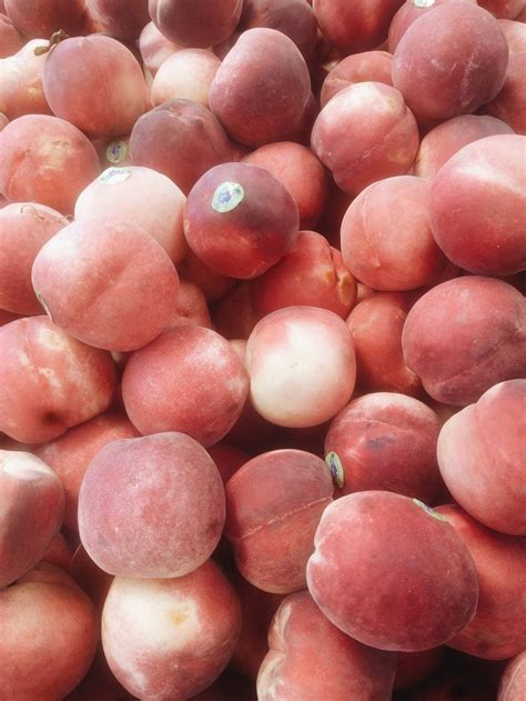 | see more about aesthetic, pink and pastel. im little but im coming for the crown — pINK PEACHES ...