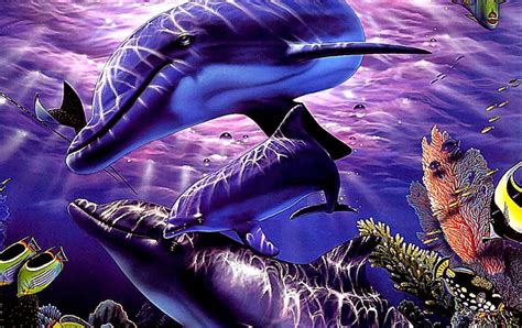 46 Free Animated Dolphin Wallpaper Desktop Wallpapersafari