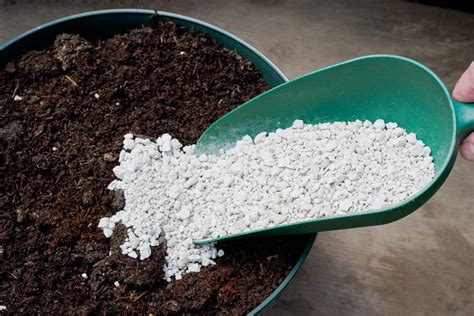 A good general bonsai mixture should be composed of about 75 per cent inert aggregate and 25 per cent organic materials. Pumice Soil Mix Cactus, Bonsai, 6 Gallon - Our Sacred Garden