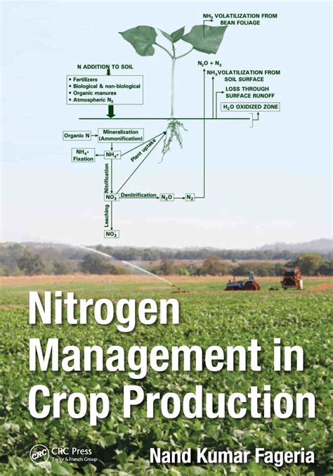 Nitrogen Management In Crop Production Softarchive