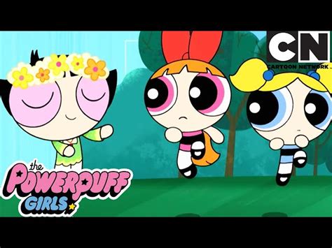 summer compilation the powerpuff girls cartoon network