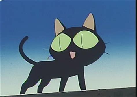 Welcome to 435 anime names meaning! Top 5 Anime: Top 5 Anime Cats