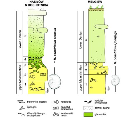 The Cretaceous Paleogene Boundary Interval In The Combined Nasiłów And