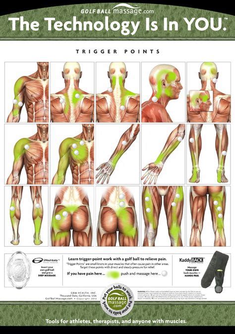 26 Trigger Points Ideas In 2021 Trigger Points Massage Therapy Trigger Point Therapy