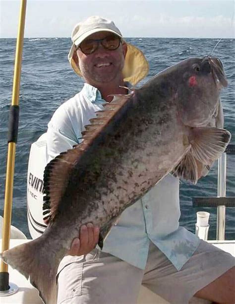 Fort Pierce Offshore Fishing Report And Forecast May 2016 Coastal