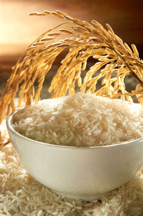 Rice Grain Stock Image Image Of Close Grain Cooking 23269397